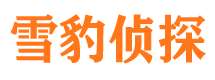 吴川外遇出轨调查取证